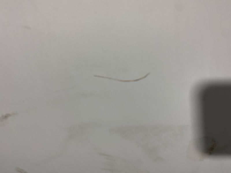 Капот, 20900 рублей, Солонцы