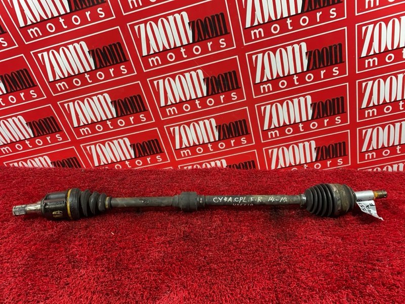 Привод, 2900 рублей, Солонцы