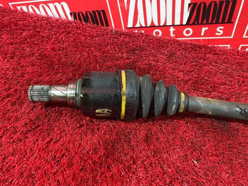 Привод, 2900 рублей, Солонцы