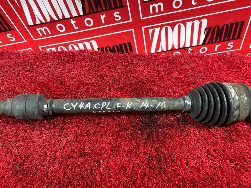 Привод, 2900 рублей, Солонцы