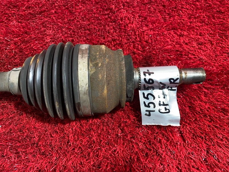 Привод, 11600 рублей, Солонцы