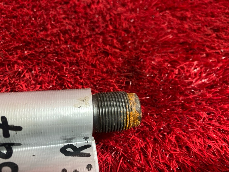 Привод, 1800 рублей, Солонцы