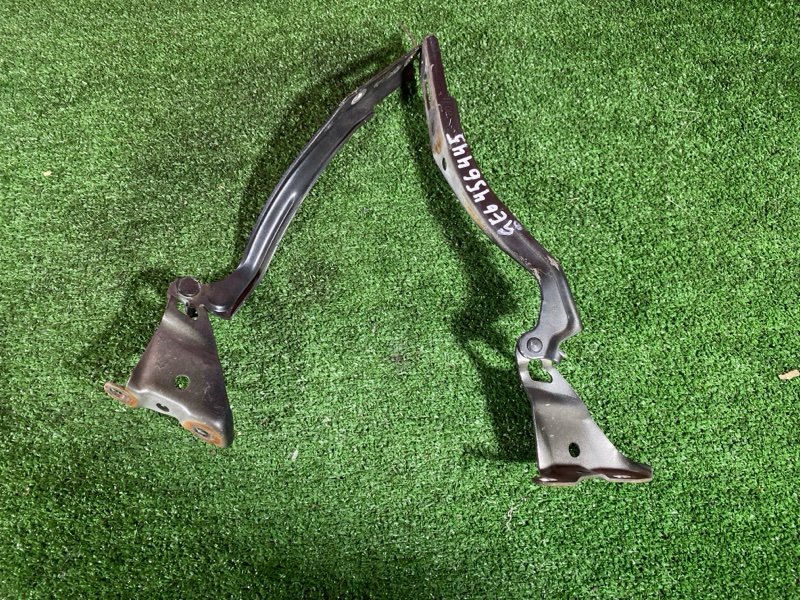 Петля (Шарнир капота), 500 рублей, Солонцы