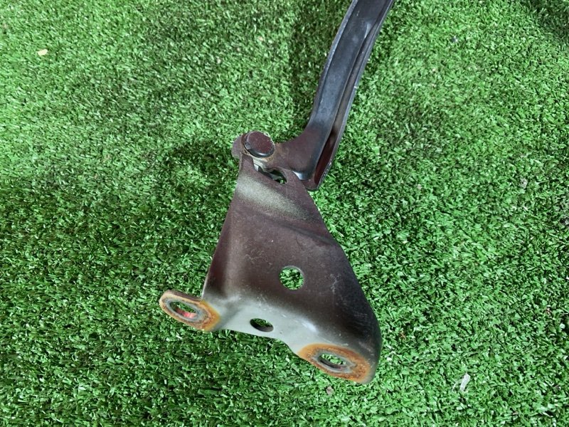 Петля (Шарнир капота), 500 рублей, Солонцы