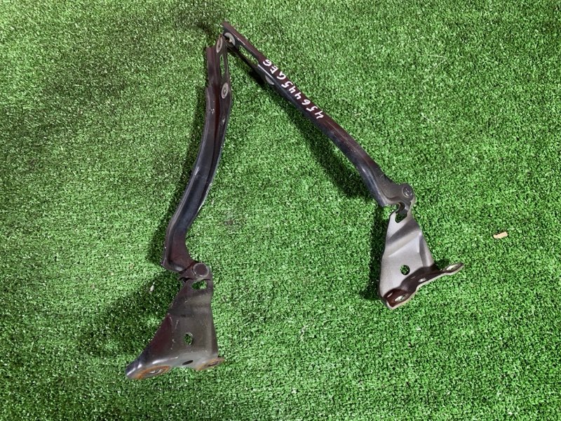 Петля (Шарнир капота), 500 рублей, Солонцы