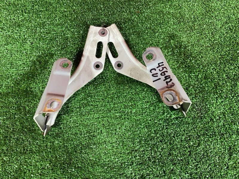 Петля (Шарнир капота), 500 рублей, Солонцы