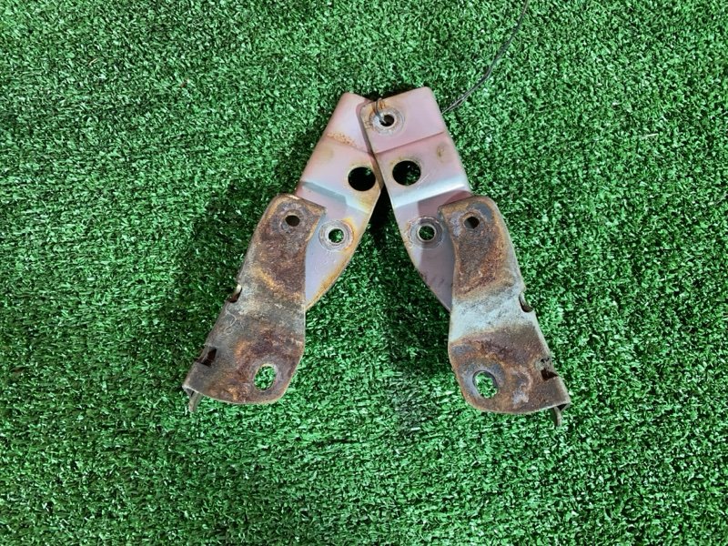 Петля (Шарнир капота), 400 рублей, Солонцы