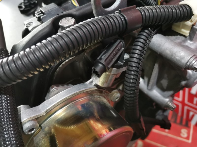 Двигатель, 201600 рублей, Солонцы