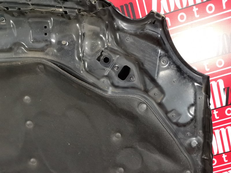 Капот, 25000 рублей, Солонцы