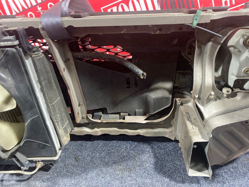 Nose cut, 30000 рублей, Солонцы