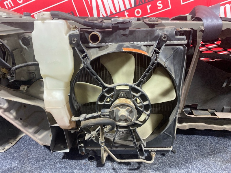 Nose cut, 30000 рублей, Солонцы