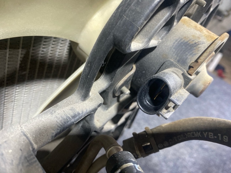 Nose cut, 30000 рублей, Солонцы