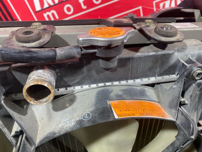 Nose cut, 30000 рублей, Солонцы