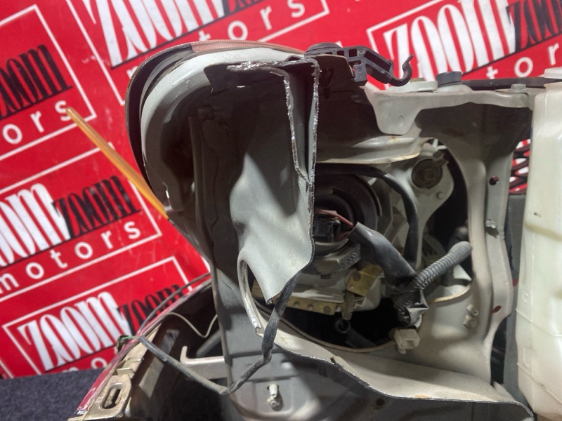 Nose cut, 30000 рублей, Солонцы