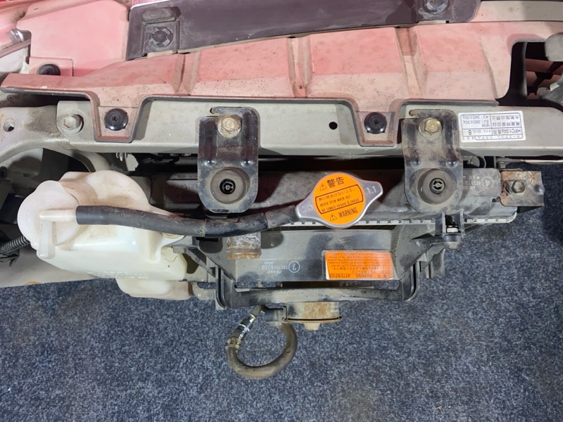 Nose cut, 30000 рублей, Солонцы