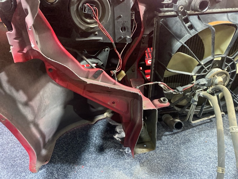 Nose cut, 40000 рублей, Солонцы