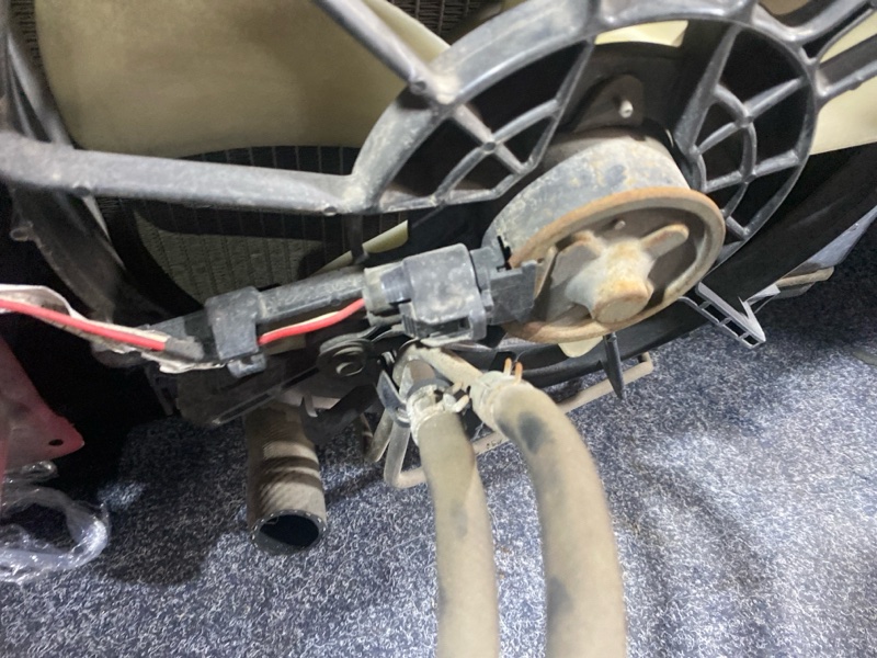 Nose cut, 40000 рублей, Солонцы