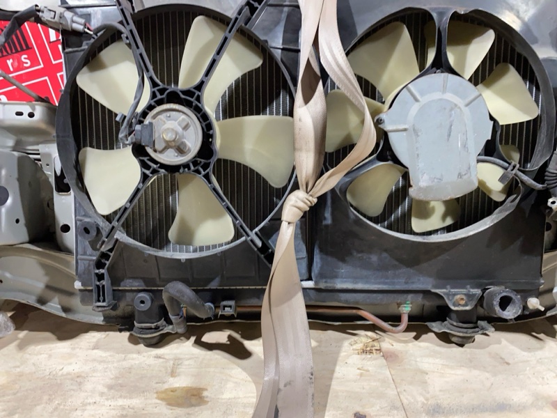 Ноускат, 45000 рублей, Красноярск