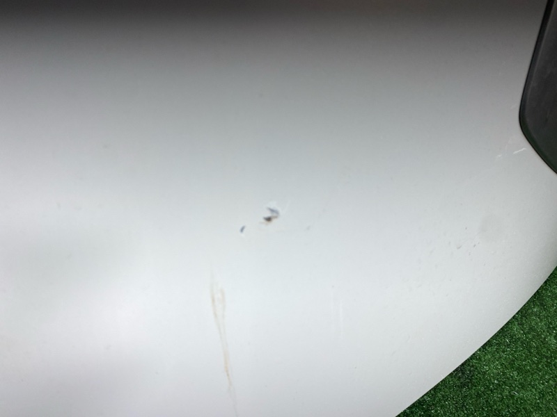 Крыло, 28500 рублей, Солонцы