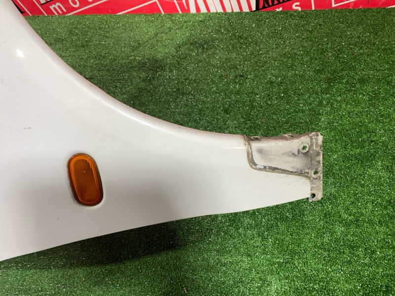 Крыло, 2400 рублей, Солонцы