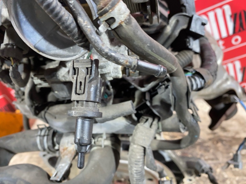 Двигатель, 42000 рублей, Солонцы