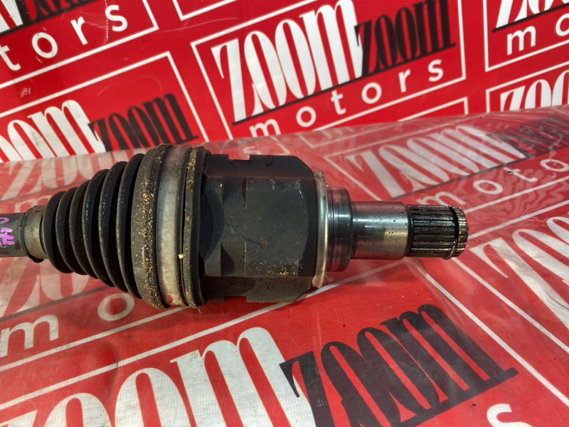 Привод, 1700 рублей, Солонцы