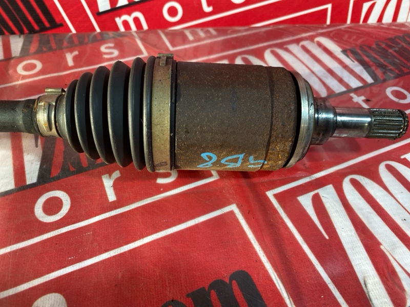 Привод, 2400 рублей, Солонцы