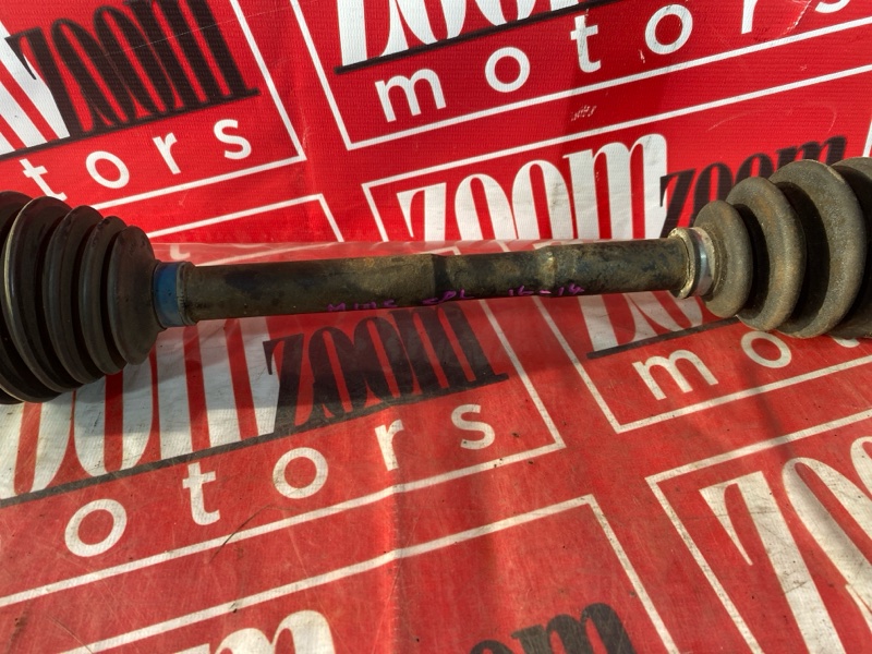 Привод, 3500 рублей, Солонцы