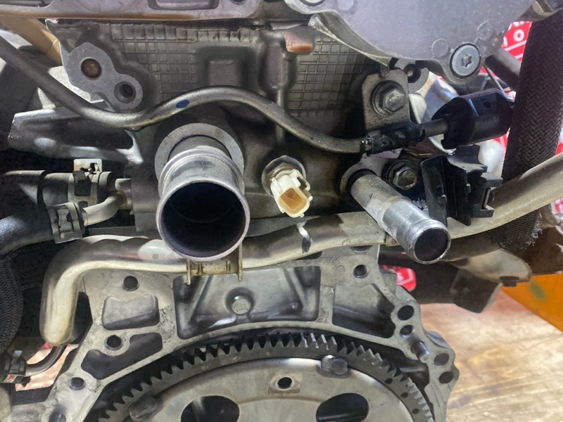 Двигатель, 47500 рублей, Солонцы