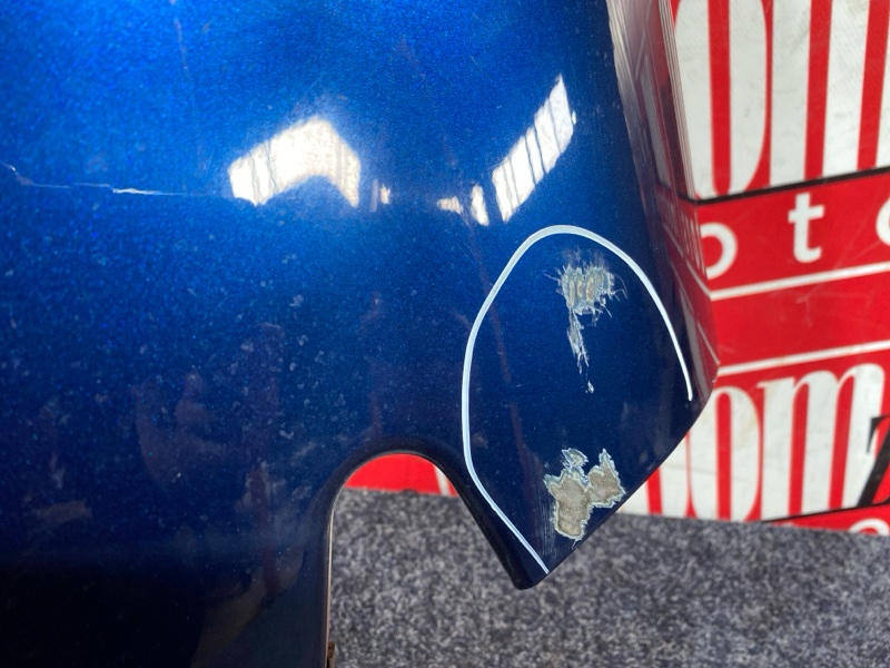 Крыло, 1900 рублей, Солонцы