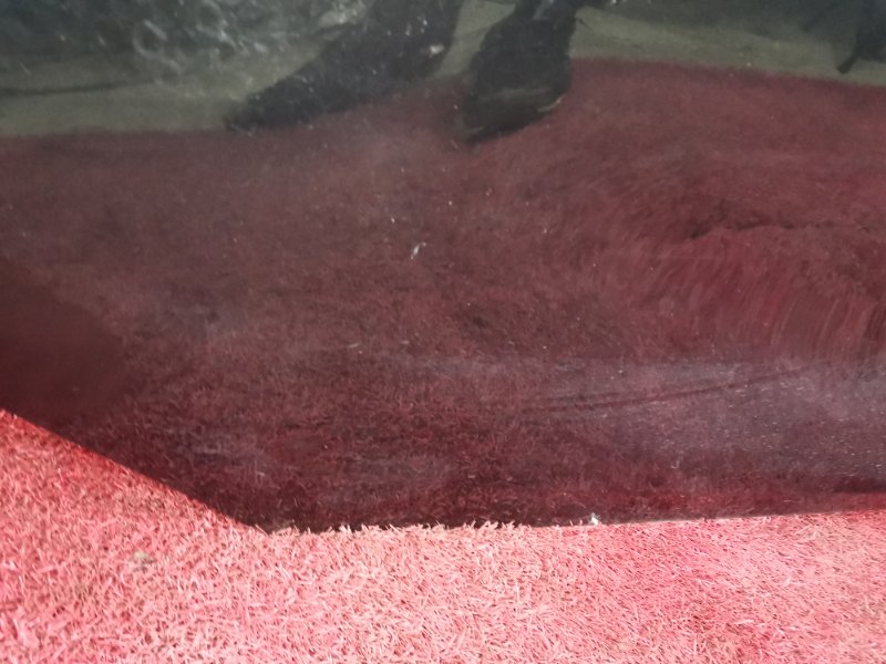 Дверь боковая, 8200 рублей, Солонцы