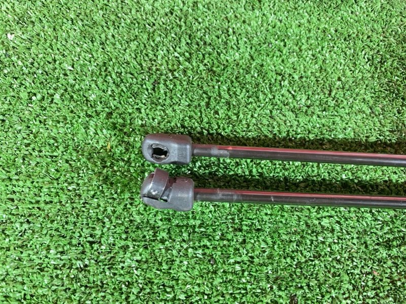 Амортизатор багажника, 2400 рублей, Солонцы