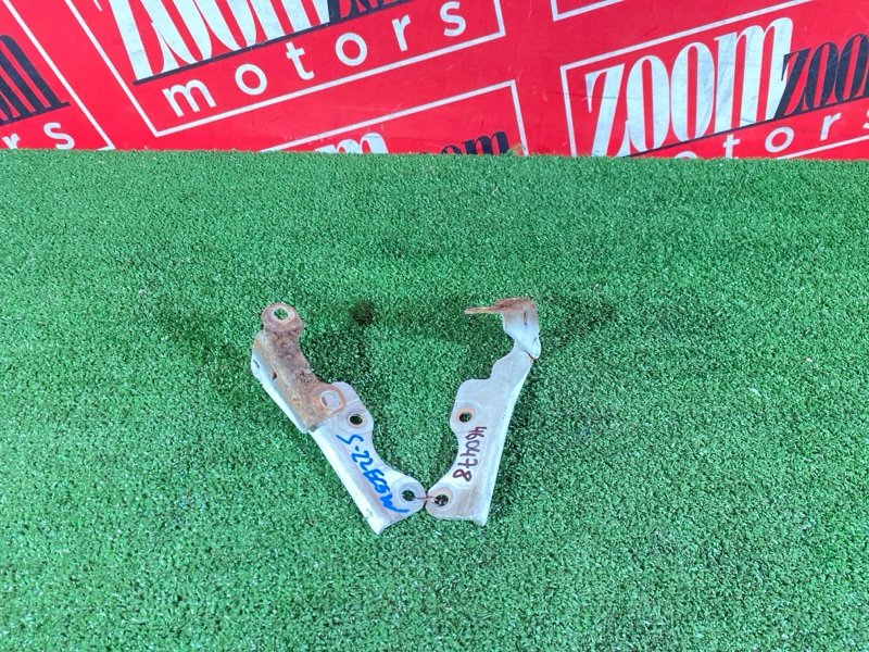 Петля (Шарнир капота), 800 рублей, Солонцы