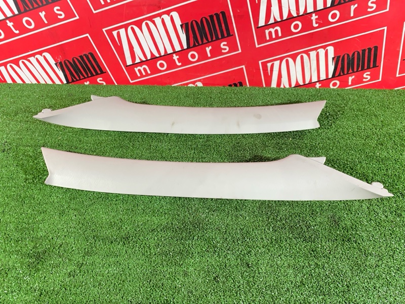 Накладка на стойку кузова, 1000 рублей, Солонцы