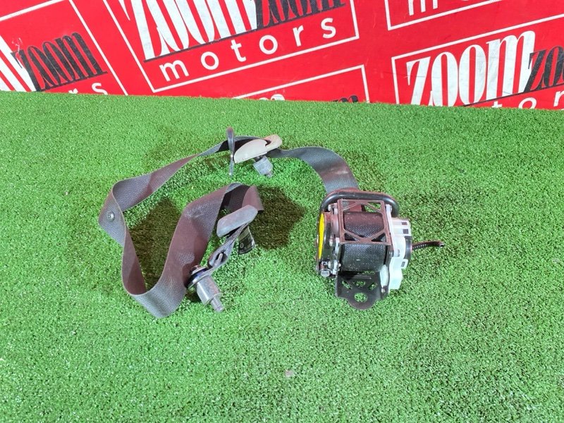 Ремень безопасности, 6000 рублей, Солонцы