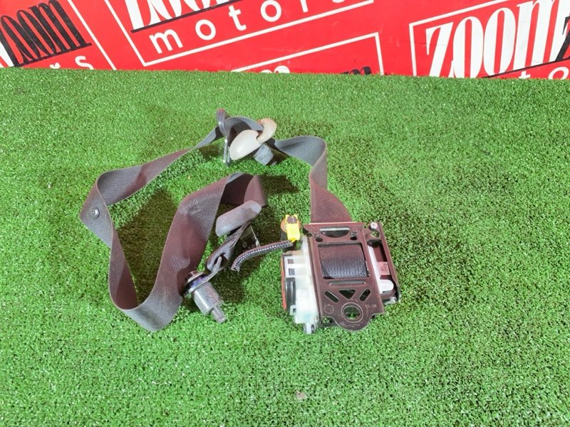 Ремень безопасности, 6000 рублей, Солонцы