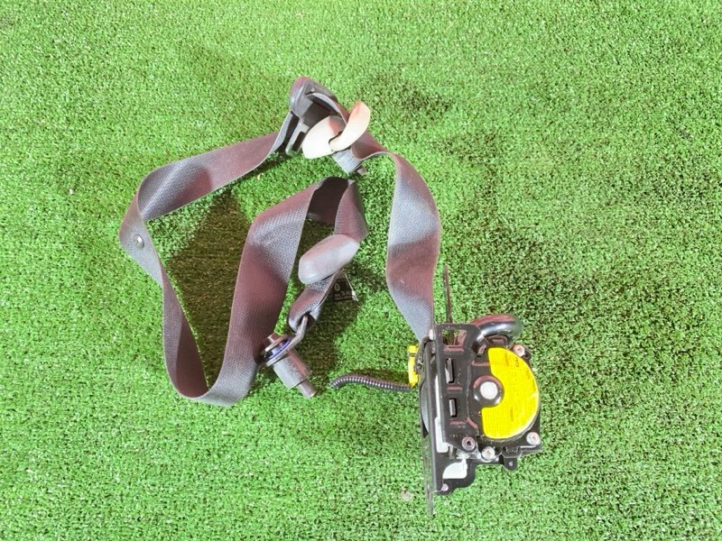 Ремень безопасности, 6000 рублей, Солонцы