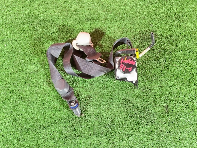 Ремень безопасности, 6000 рублей, Солонцы