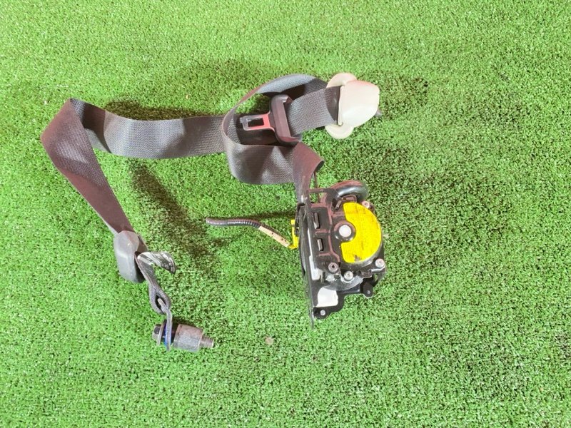 Ремень безопасности, 6000 рублей, Солонцы