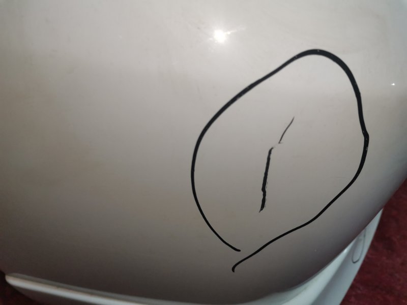 Ноускат, 32000 рублей, Солонцы