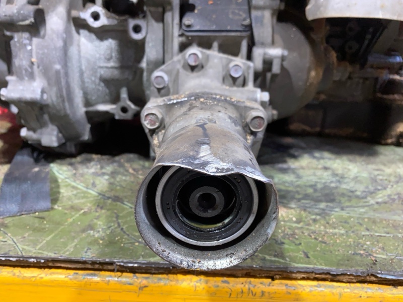 Двигатель, 313500 рублей, Солонцы