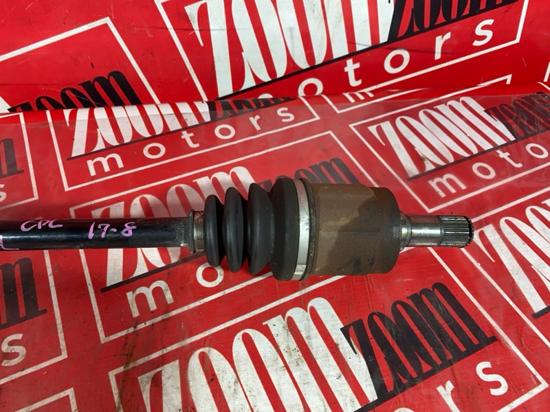 Привод, 1200 рублей, Солонцы