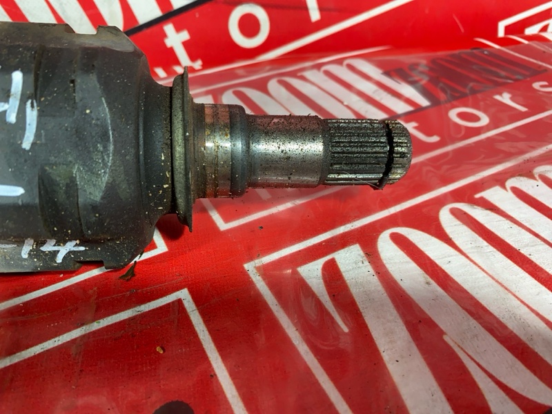 Привод, 2400 рублей, Солонцы