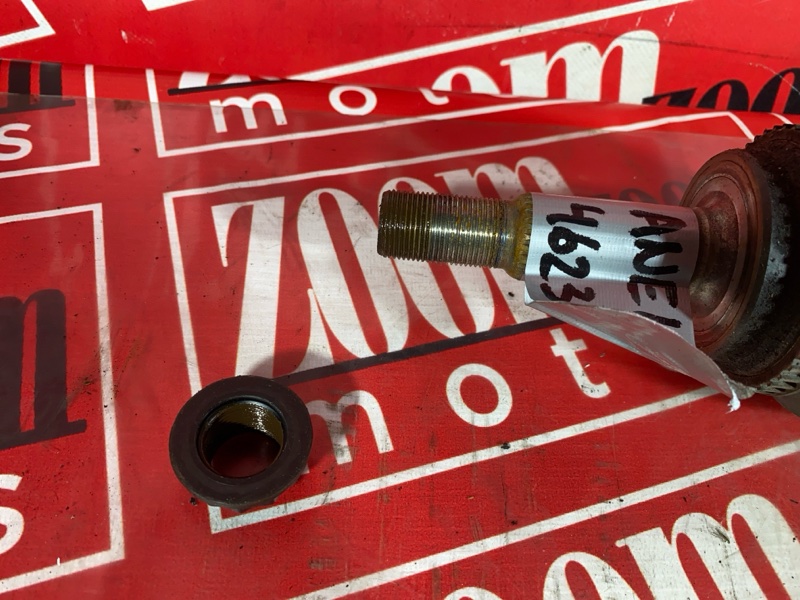 Привод, 2400 рублей, Солонцы