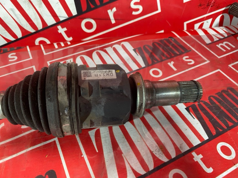 Привод, 1700 рублей, Солонцы