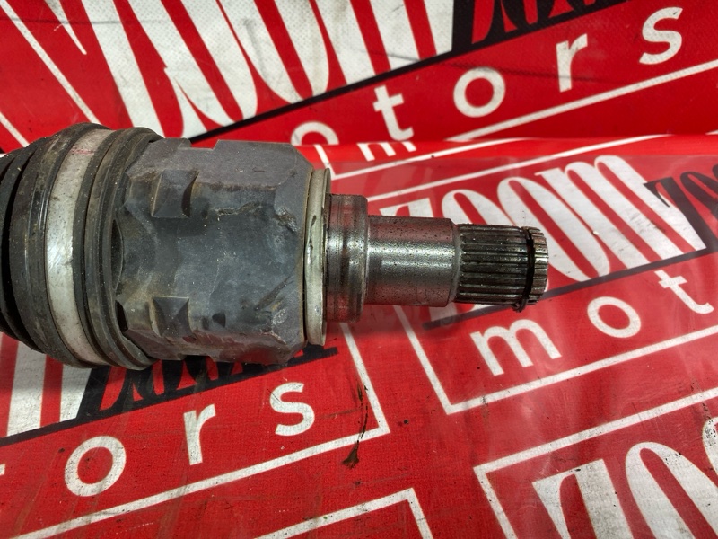 Привод, 1700 рублей, Солонцы