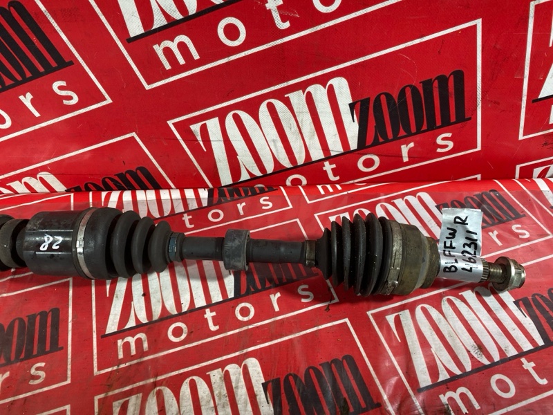 Привод, 5300 рублей, Солонцы