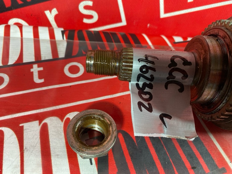 Привод, 4300 рублей, Солонцы