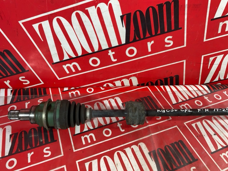 Привод, 1300 рублей, Солонцы