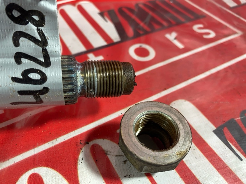 Привод, 1300 рублей, Солонцы